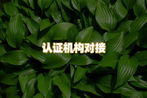 认证机构对接